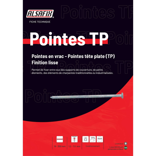Pointe Lisse Alsafix en Vrac Tête Plate (TP) D. 2,5 mm - 1 Kg