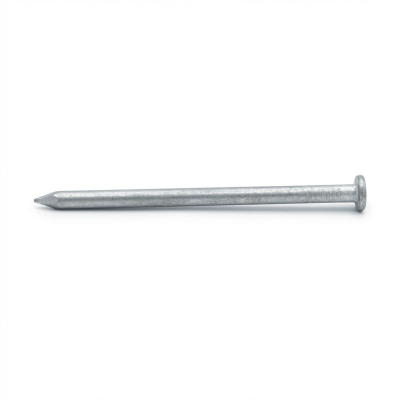 Pointe Lisse en Vrac Tête Plate (TP) Alsafix - D. 2,8 mm - 1 Kg