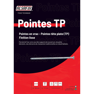 Pointe Lisse en Vrac Tête Plate (TP) Alsafix - D. 2,8 mm - 1 Kg