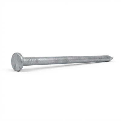 Pointe Lisse Galvanisée à Chaud (HDG) en Vrac Tête Plate (TP) Alsafix - D. 2,8 mm - 1 kg