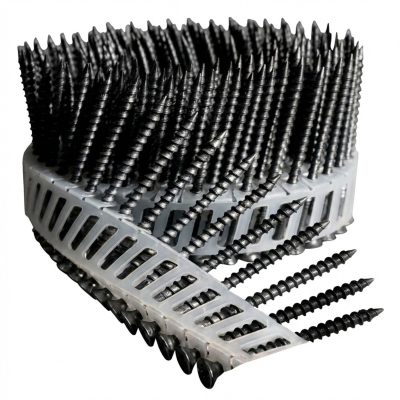 Scrail de 2000 vis noires FasCoat Phillips (PH) 16° SCRAIL 25/28 x 50 mm - 16S2550FSB Alsafix