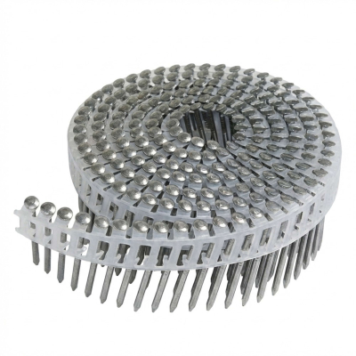 Coil de 6 000 pointes annelées INOX A4 tête bombée (TB) 16° COILS S 23 D. 2,5 x 55 mm - 16S25558 Alsafix