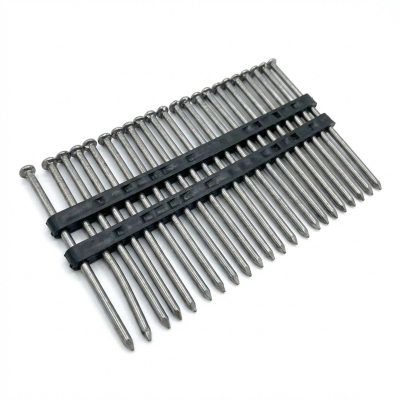 2 200 pointes lisses en bande P.E 20° D. 3,1 x 80 mm - 20310801 Alsafix
