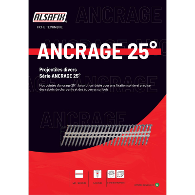 2 000 pointes d'ancrage annelées galvanisées en bande 25 ° 40 x L. 50 mm - 20400506 Alsafix