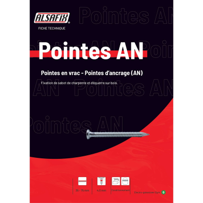 Pointe d'ancrage galva 4x75 - 5 kg