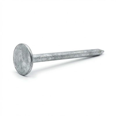 Pointe en vrac tête extra large (TEL) lisse galvanisée à chaud (HDG) 2,8 x 50 mm - 5 kg - 5L280505 Alsafix