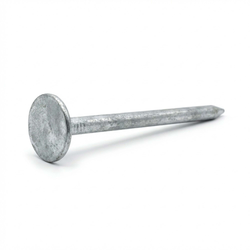 Pointe en vrac tête extra large (TEL) lisse galvanisée à chaud (HDG) 2,8 x 50 mm - 5 kg - 5L280505 Alsafix
