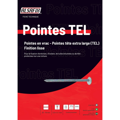 Pointe en vrac tête extra large (TEL) lisse galvanisée à chaud (HDG) 2,8 x 50 mm - 5 kg - 5L280505 Alsafix