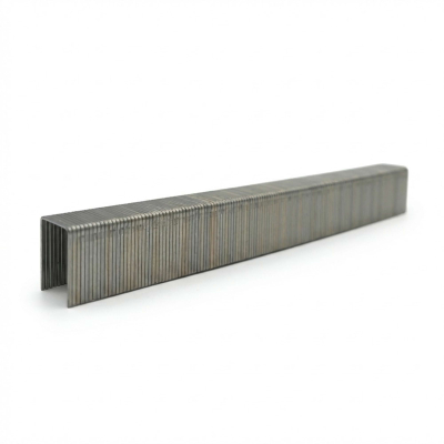 10 000 agrafes galvanisées AD-08 - 12,3 x 8 x D. 0,58 x 1,02 mm - 6AD081 - Alsafix