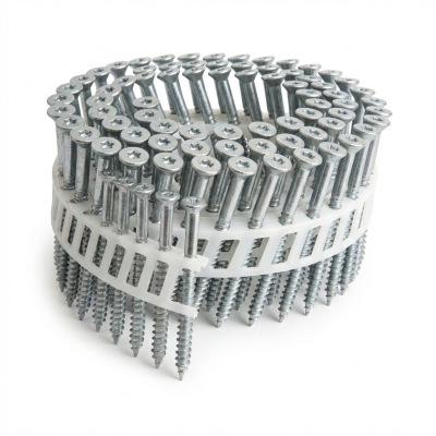 Scrail de 2000 Vis Galvanisées Torx 16° (TX) SCRAIL 28/32 Alsafix
