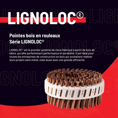 3060 Pointes Bois d'Hêtre en Rouleaux Lignoloc D. 3,7 mm - Alsafix