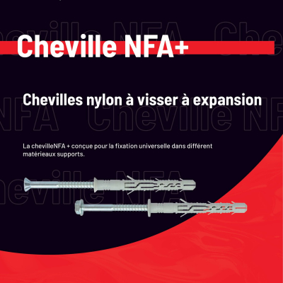 50 chevilles à expansion nylon à visser NFA+ D. 10 x 100 mm - CM10100H+ - Alsafix 2