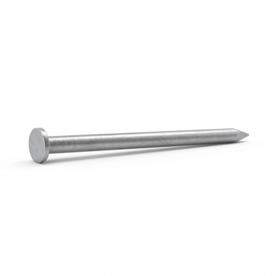 Pointe lisse en vrac tête plate (TP) 4,5 x 100 mm - 1 Kg - 1P451001 Alsafix