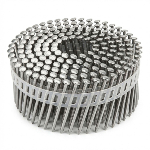 Coil de 6 000 pointes annelées INOX A2 tête bombée (TB) 16° COILS S 23 D. 2,5 x 55 mm - 16S23558A2 Alsafix