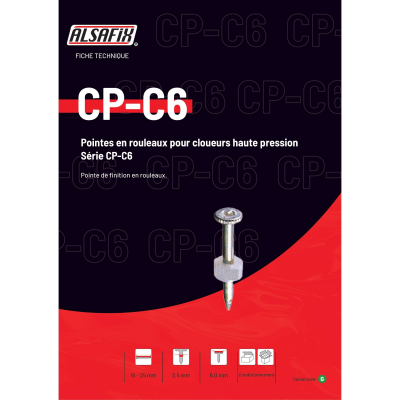 Coil de 1 000 Pointes Acier CP-C6 D. 2,5 mm pour Cloueur HN 25 C Alsafix