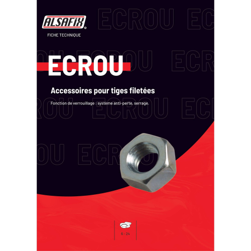 Blister de 20 Écrous Hexagonaux Acier Zingué Alsafix