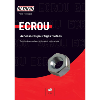 Blister de 20 Écrous Hexagonaux Acier Zingué Alsafix
