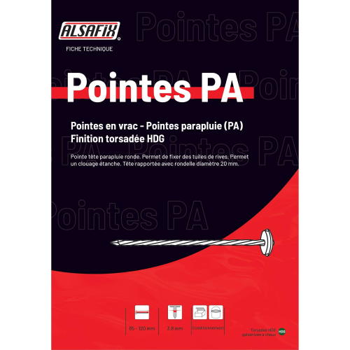 Pointe parapluie torsadée galvanisée en vrac tête rapportée et rondelle brune 20 mm 3,8 x 120 mm - 2 kg - PA381205 Alsafix