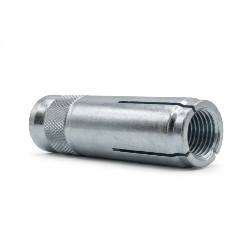 Blister de 20 chevilles DM - douille de frappe M6 - PO06304BL - Alsafix