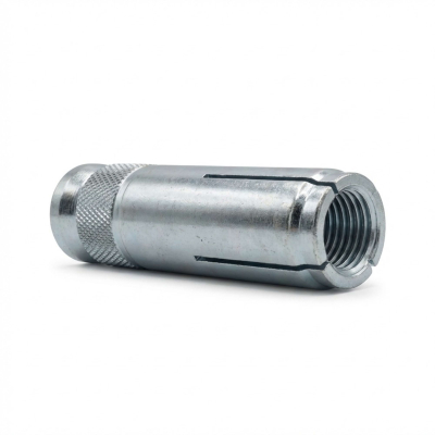 Blister de 20 chevilles DM - douille de frappe M6 - PO06304BL - Alsafix