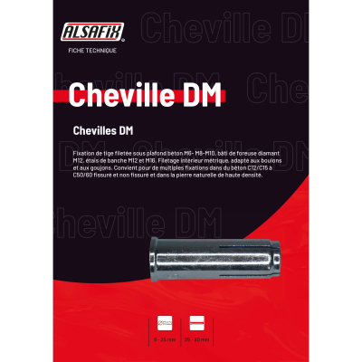 Outil de pose DM-ST-SG pour douille M12 - PO06336 - Alsafix