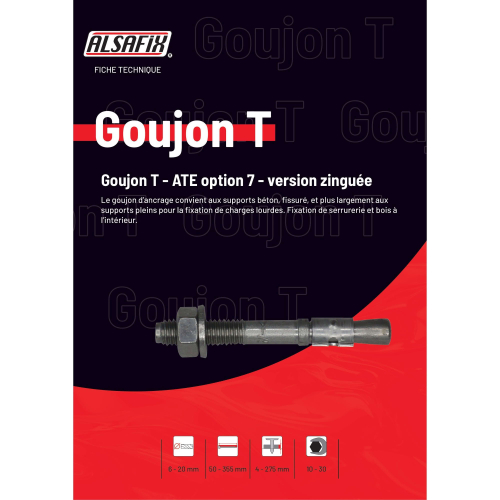 Blister de 5 goujons d'ancrage T D. 20 x LT. 160 mm version zinguée ATE Option 7 - PO07446BL - Alsafix