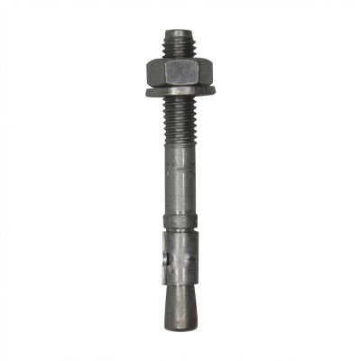 Blister de 5 goujons d'ancrage T D. 12 x LT. 220 mm version zinguée ATE Option 7 - PO07464BL - Alsafix