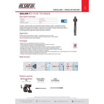 Blister de 5 goujons d'ancrage T D. 16 x LT. 240 mm version zinguée ATE Option 7 - PO07470BL - Alsafix