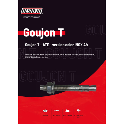 Lot de 5 goujons d'ancrage T D. 10 x Lt. 180 mm version INOX A4 ATE Option 7 - PO07832BL - Alsafix