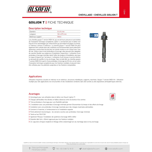 Blister de 5 goujons d'ancrage T D. 12 x Lt. 135 mm version INOX A4 ATE Option 7 - PO07840BL - Alsafix