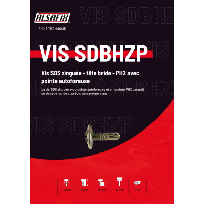 1000 vis tête bride 4,2 x 13 mm autoforeuse zinguée PH2 - PO67162 - Alsafix