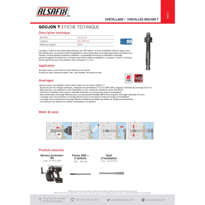 100 goujons d'ancrage T version zinguée ATE Option 1 D. 8 x Lt. 60 mm - PO69300 - Alsafix