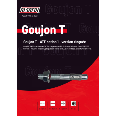 25 goujons d'ancrage T version zinguée ATE Option 1 D. 12 x Lt. 175 mm - PO69370 - Alsafix