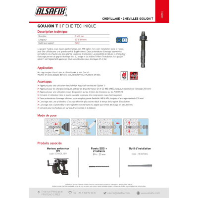 25 goujons d'ancrage T version zinguée ATE Option 1 D. 12 x Lt. 175 mm - PO69370 - Alsafix
