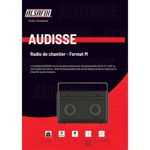 Radio de chantier AUDISSE - 2 x 15 (30) W - Wifi, Bluetooth, MP3, Aux in, FM, USB, DAB+ - Perfect Pro