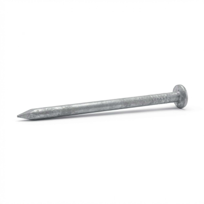 Pointe lisse galvanisée à chaud (HDG) en vrac tête plate (TP) 2,2 x 40 mm - 2,5 kg - TP220405 Alsafix