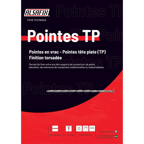 Pointe galvanisée à chaud (HDG) carré torsadé (CT) en vrac tête plate (TP) 2,8 x 60 mm - 5 kg - TP280607 Alsafix