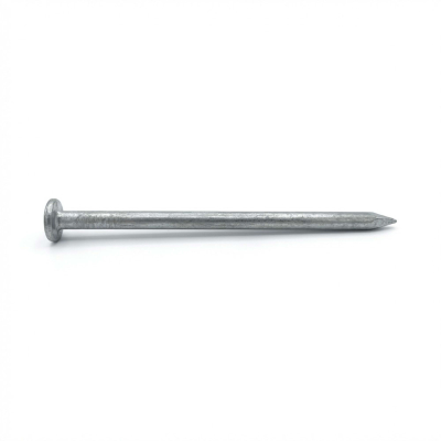 Pointe lisse en vrac tête plate (TP) 5,5 x 140 mm - 5 Kg - TP551401 Alsafix