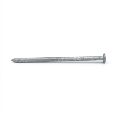 Pointe lisse galvanisée à chaud (HDG) en vrac tête plate (TP) 5,5 x 140 mm - 5 kg - TP551405 Alsafix