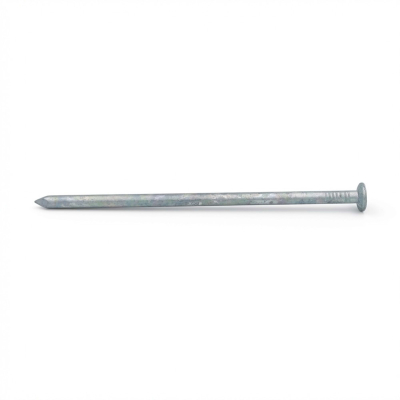 Pointe lisse en vrac tête plate (TP) 6,0 x 160 mm - 5 Kg - TP601601 Alsafix