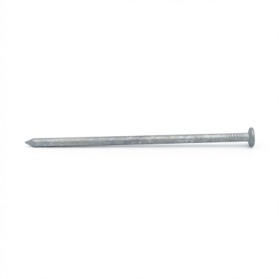 Pointe lisse galvanisée à chaud (HDG) en vrac tête plate (TP) 6,0 x 160 mm - 5 kg - TP601605 Alsafix