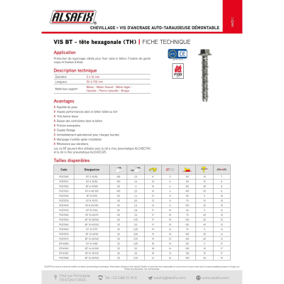 Blister de 10 Vis d'Ancrage Béton Auto-Taraudeuse BT D. 12 mm - Zingué - Alsafix