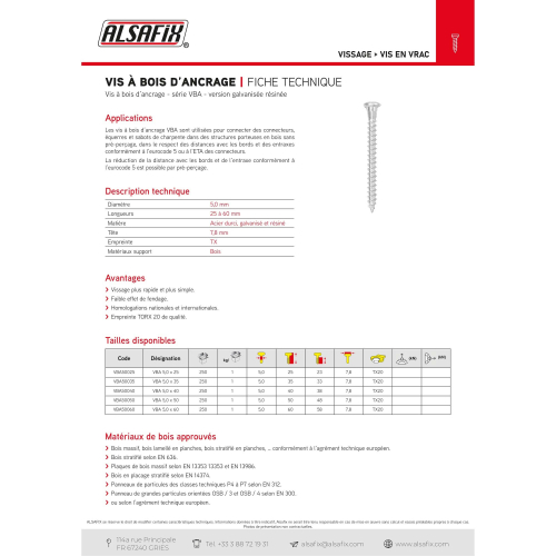 250 Vis Bois D'ancrage D. 5 mm Galvanisees Resinees TX 20 Alsafix
