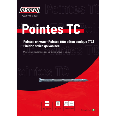 Pointe Béton Tête Conique (TC) Vrac Striée Galvanisée D. 3,5 mm - 1 kg Alsafix