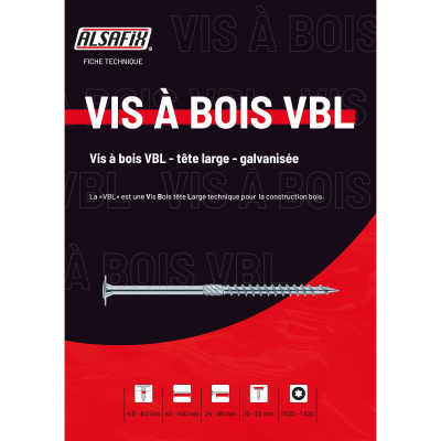 100 Vis Bois Tête Large Bombée D. 6 mm Galvanisées + TX 30 Alsafix 2