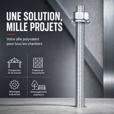 10 tiges filetées zinguées avec écrou et rondelle STD M20 x Lt. 260 mm - PO32190 - Alsafix