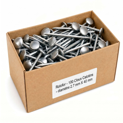 100 Clous Calotins - diamètre 2.7 mm X 40 mm 2