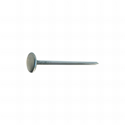 50 Clous Calotins - diamètre 2,7 mm