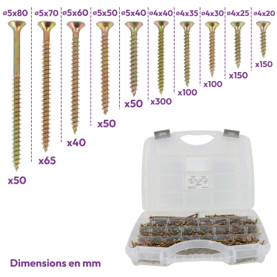Coffret de Vis Bois et Agglomérée VBA Tête Fraisée Pozidriv - Acier Zingué Bichromaté - 1055 pièces