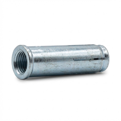 Blister de 10 chevilles DM - douille de frappe M10 - PO06306BL - Alsafix
